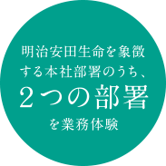 明治安田生命 Meijiyasuda インターンシップ 21 5days Internship インターンシップレポート 明治安田生命 Meijiyasuda インターンシップ 21 5days Internship インターンシップレポート