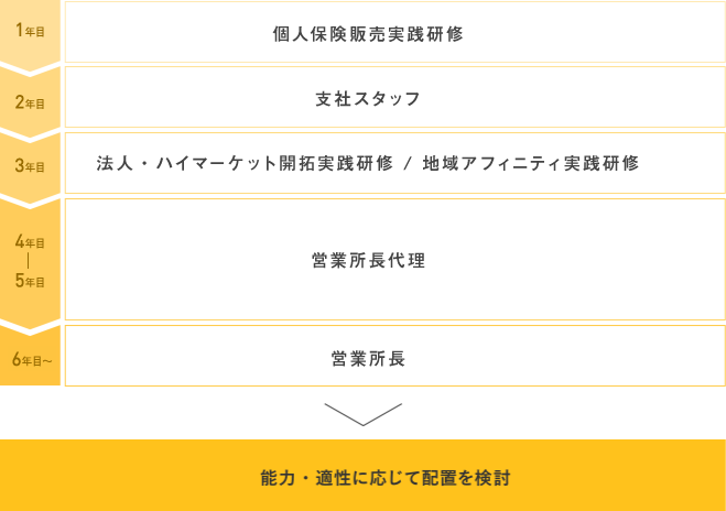 総合職(全国型)career S 職務ローテーション